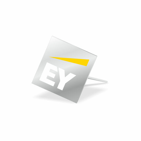 EY lapel pin  with magnet