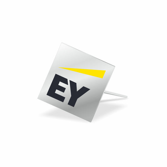 EY lapel pin  with magnet